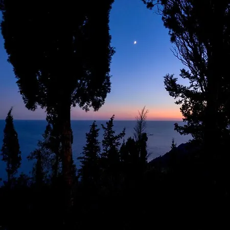 Aloni By About Paxos
