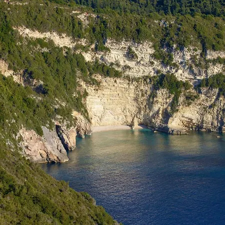 Aloni By About Paxos
