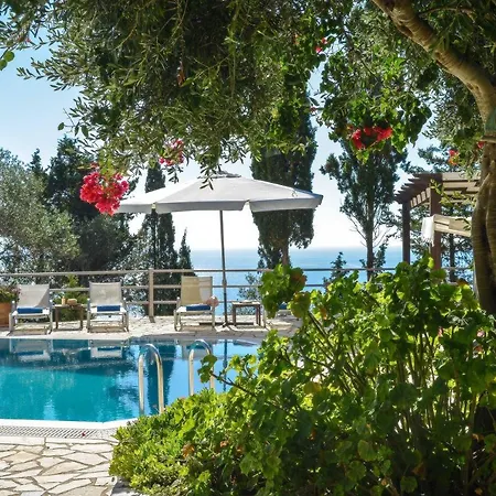 Aloni By About Paxos