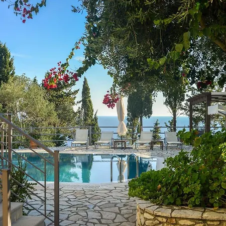 Aloni By About Paxos *