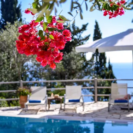 Aloni By About Paxos Boikatika